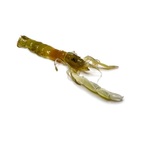 【店頭販売限定品】冷凍ボケ